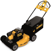 Immagine di DCMWSP564N-XJ