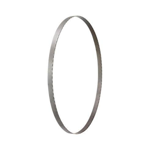 Visualizza i prodotti della categoria LAME SEGA A NASTRO A BATTERIA