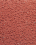 Immagine di Grana 60