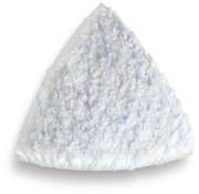 Immagine di Disco di pulizia in setola