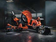 Immagine per la categoria Segatura