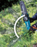 Immagine di Potatore ad asta LXT ® - DUA200Z