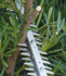 Immagine di Tagliasiepi ad asta XGT 600mm - UN001GZ