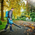 Immagine di Soffiatore LXT ® - DUB184Z