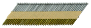 Immagine di Chiodo 34° con testa D (clipped-head) su striscia di carta - P-77089