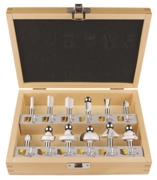 Immagine di Set frese da legno 12 pezzi - D-53556