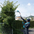 Immagine di Tagliasiepi ad asta XGT 600mm - UN001GZ