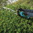 Immagine di Tagliasiepi XGT ® - UH020GZ