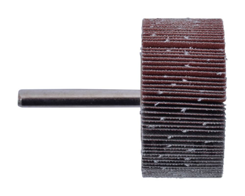 Immagine di Ruota lamellare abrasiva Ø50mm - B-36902