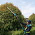 Immagine di Tagliasiepi ad asta XGT 600mm - UN001GZ