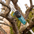 Immagine di Potatore ad asta LXT ® - DUA200Z