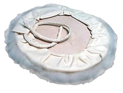 Immagine di Cuffia d'agnello - 743404-0