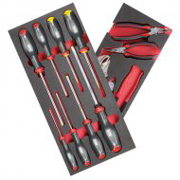 Immagine per la categoria Moduli singoli in spugna bicolore con utensili