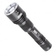 Immagine per la categoria Torce